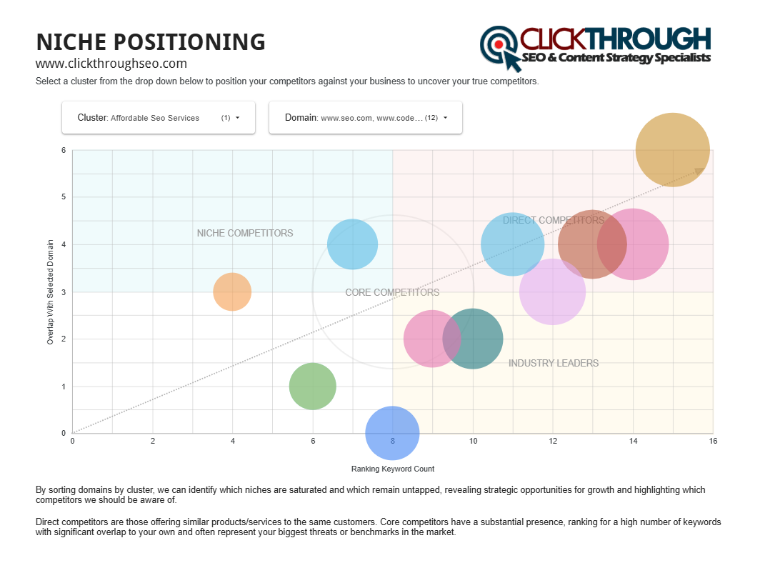 Niche Competitor Positioning